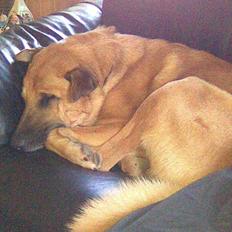 Blanding af racer Batman AKA Batte