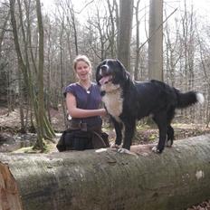 Blanding af racer Prins Nox