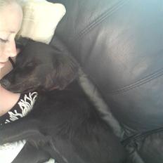 Blanding af racer Sasja