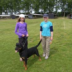 Rottweiler BHP Rotts Anina (Freja)