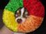 Chihuahua Püppi