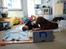 Labrador retriever Lablunas AttraktiveAlbert