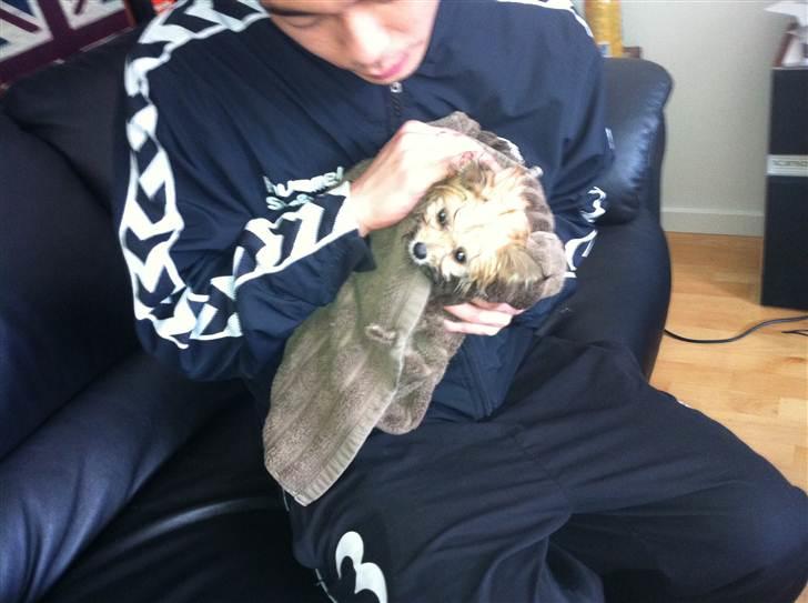 Blanding af racer Castell billede 8