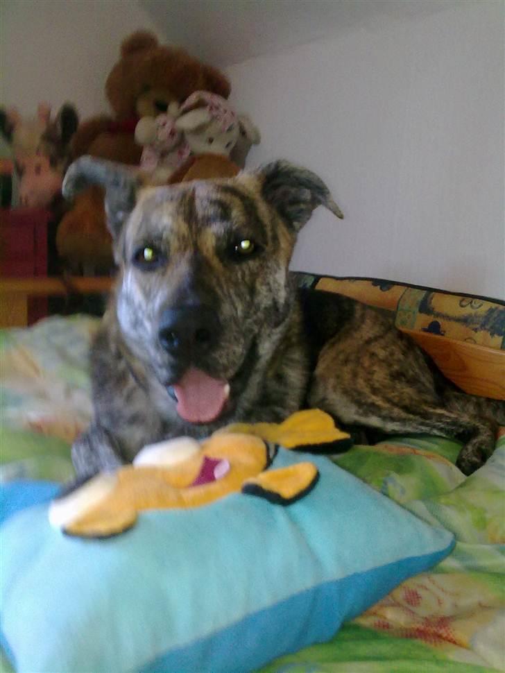 Blanding af racer - Lalaki! :* billede 17