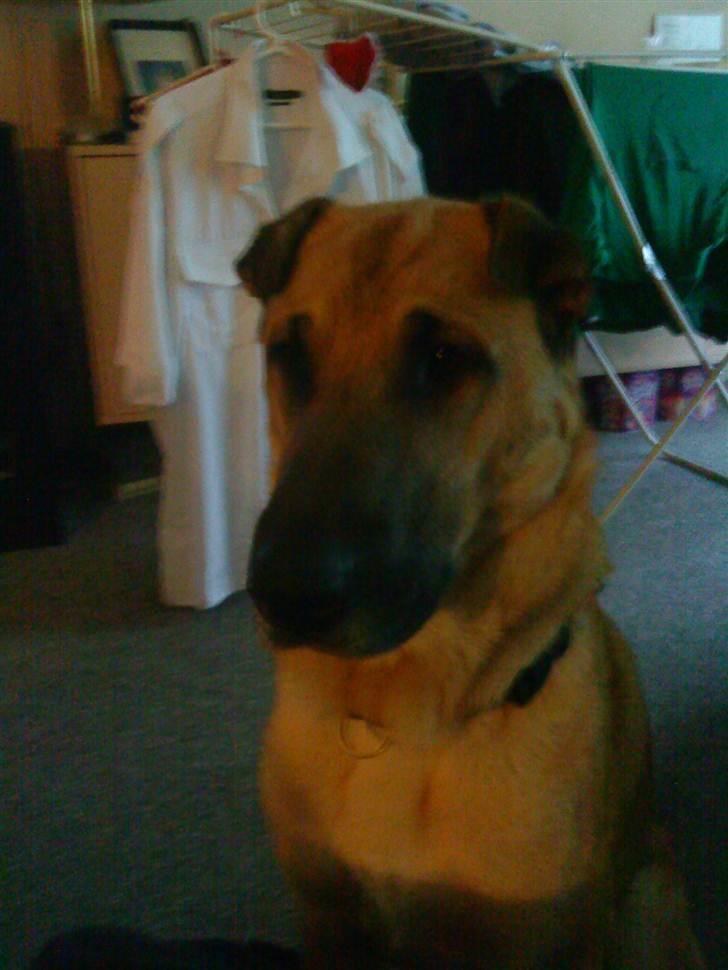 Blanding af racer Batman AKA Batte billede 1