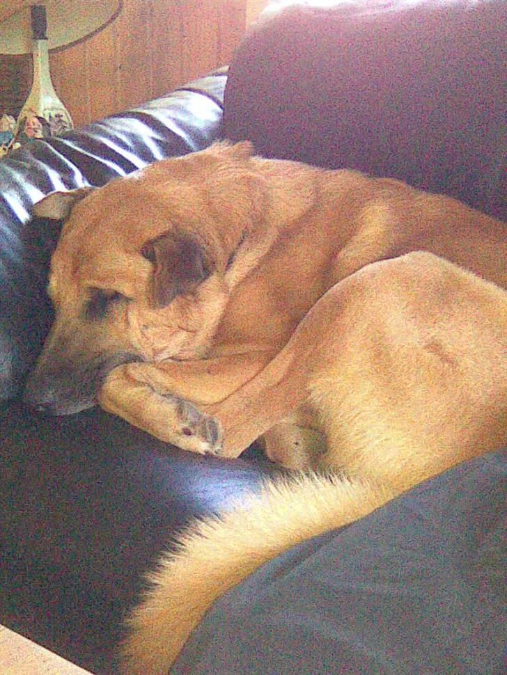 Blanding af racer Batman AKA Batte billede 3