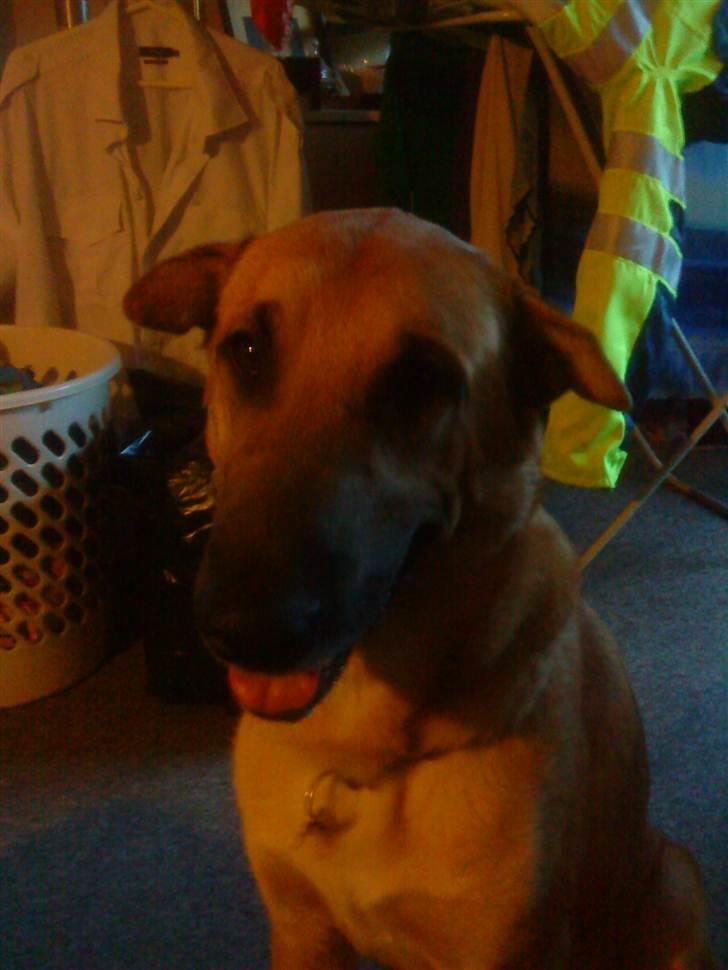 Blanding af racer Batman AKA Batte billede 11