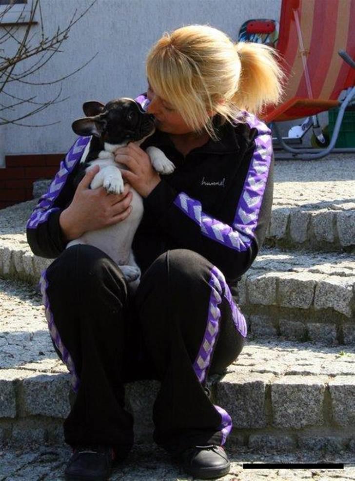 Fransk bulldog BusherPljus Peace Of Luck billede 10