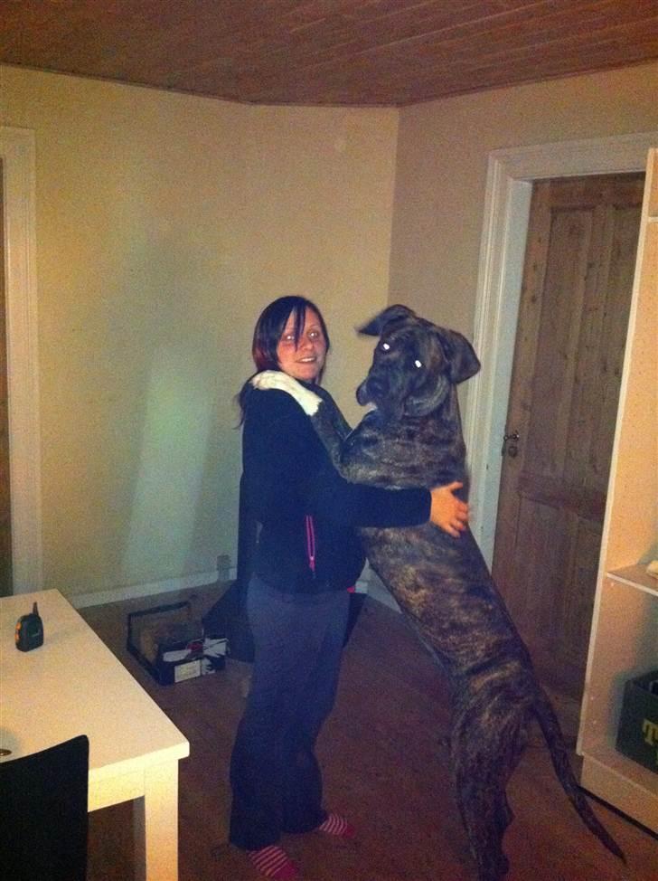 Blanding af racer Megan - her står jeg op af min mor billede 8