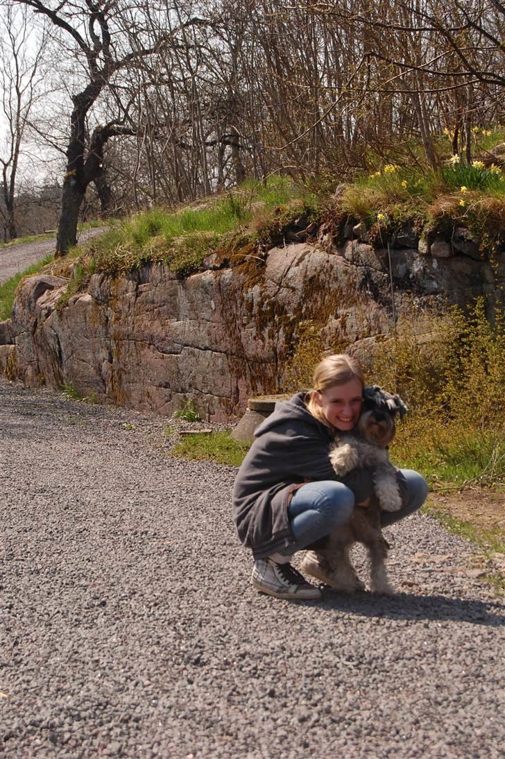 Dvaergschnauzer Vanilla Fudge - Mig og Nilse :D billede 9