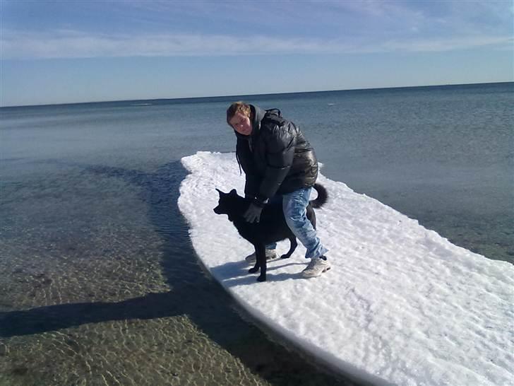 Blanding af racer Victor billede 12