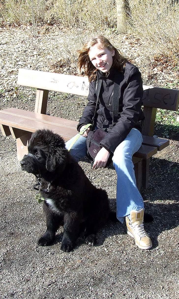 Newfoundlænder Aslan (Newf-line) - Mig og drengen :D billede 11