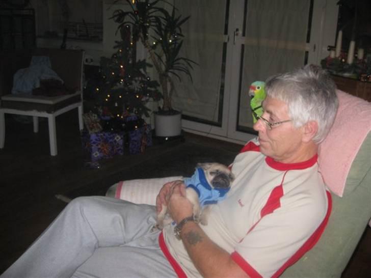 Mops Baloo The MOPPALOO - Mig og min far billede 14