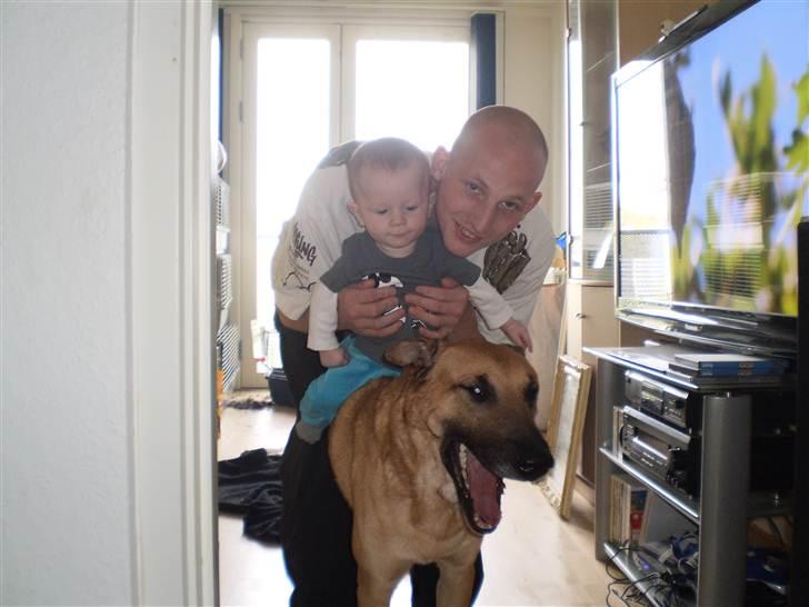 Blanding af racer Batman AKA Batte billede 20