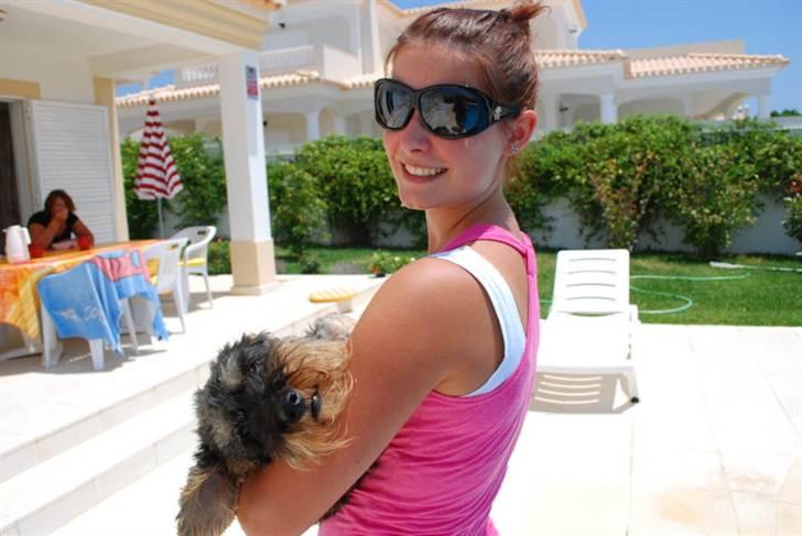 Gravhund Anton (desværre aflivet)  billede 5