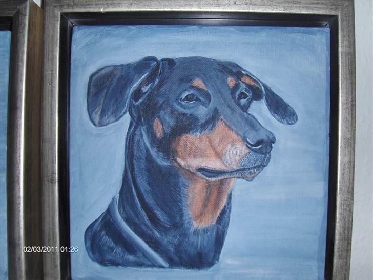 Dobermann Tusca R.I.P. - Maleri af Tusca  billede 20
