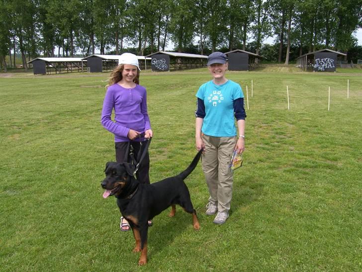 Rottweiler BHP Rotts Anina (Freja) - Hygge konkurrence for børn og hunde billede 2