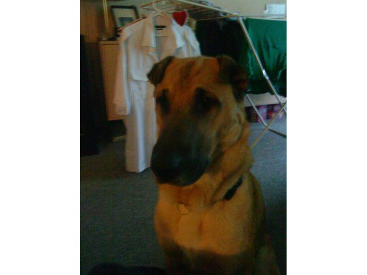 {{currentPhoto.altText}} billede {{currentPhoto.number}}