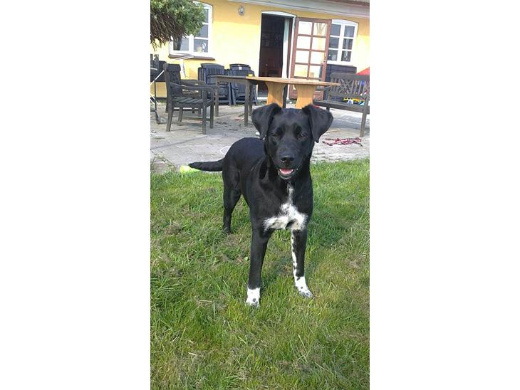 {{currentPhoto.altText}} billede {{currentPhoto.number}}