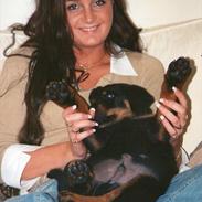 Rottweiler Stoneweiler´s Fiery Son of Diamond