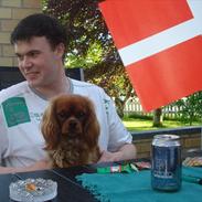 Cavalier king charles spaniel Amy