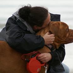 Dogue de bordeaux Ziljah