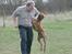 Rhodesian ridgeback Basse