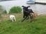 Blanding af racer Tess - Sara, Tess og Hector leger d. 10/5-11
