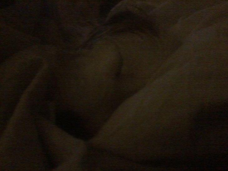 Parson russell terrier Cudweed´s Kiss Of An Angel (soya) - Godnat billede 9