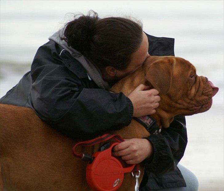 Dogue de bordeaux Ziljah - Min elskede tøs og jeg <3 November 2010 billede 2