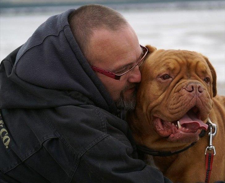 Dogue de bordeaux Ziljah - Asbjørn og Ziljah november 2010 billede 6