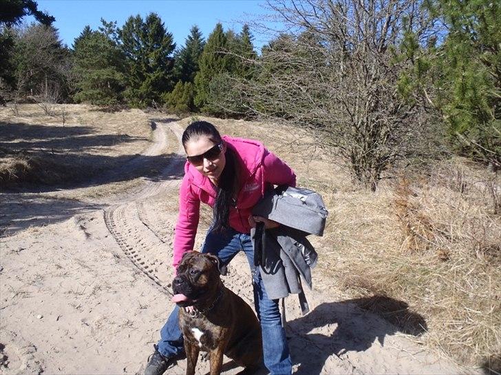 Bullmastiff Byron aka Bøffen billede 15