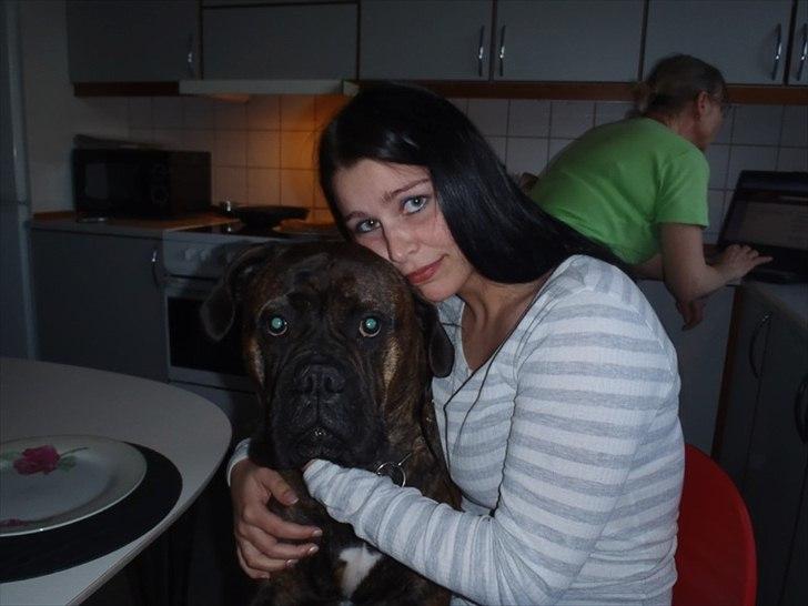 Bullmastiff Byron aka Bøffen billede 17