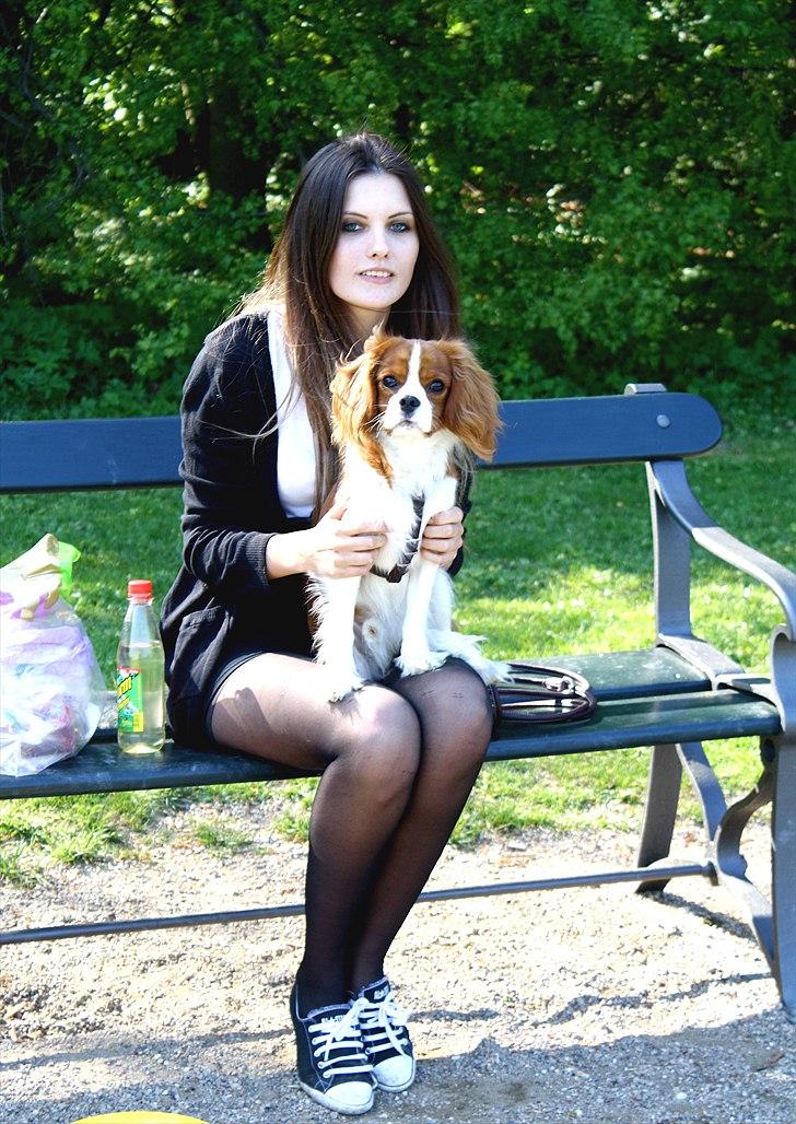 Cavalier king charles spaniel Jagger - Lækkermåsen kommer til at ligne farmanden mere og mere. billede 19