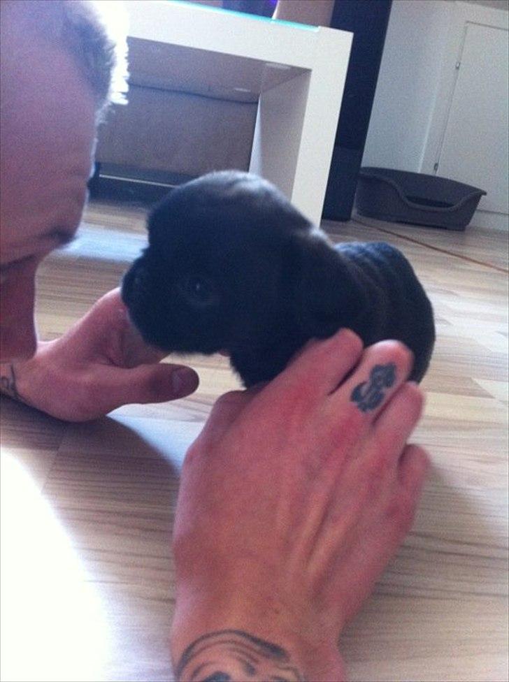 Blanding af racer Bodil Kjær billede 3