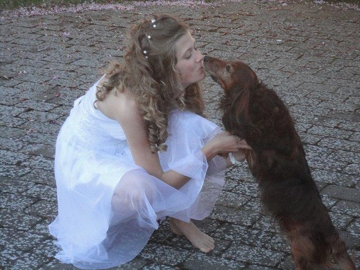 Gravhund Walter - Konfirmation 2010 billede 2