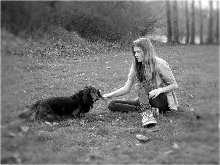 Gravhund Walter - jeg elsker dig så højt skat! 
- du min levegrund!  billede 6