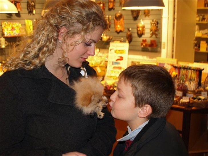 Pomeranian Felix - Jeg ELSKER at kysse! Og her er onkel Kasper den heldige ;) billede 14