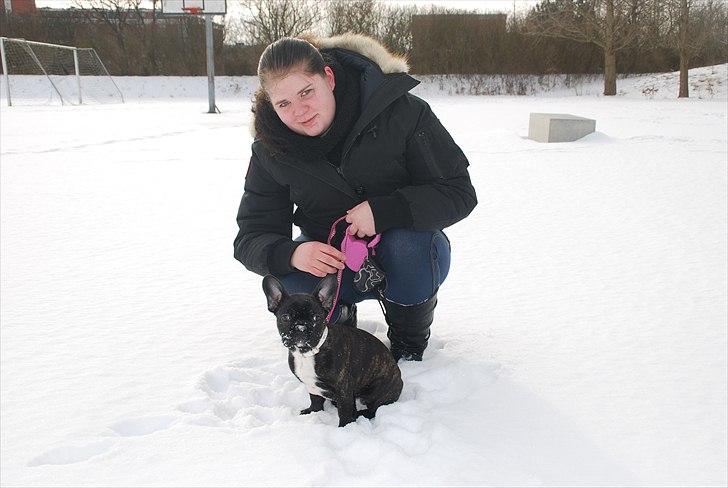 Fransk bulldog Berta <3 - damp :* - ejer&hund<3
20.02.11 billede 4
