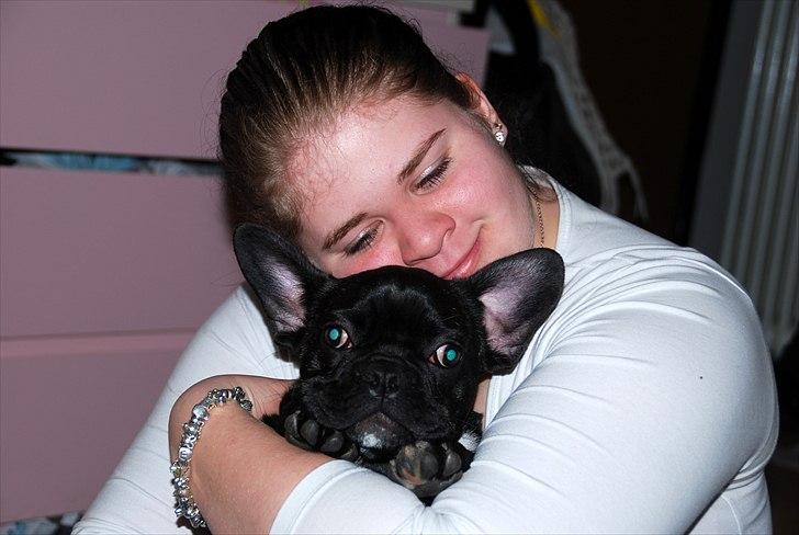 Fransk bulldog Berta <3 - damp :* - du&jeg<3
22.03.11 billede 7
