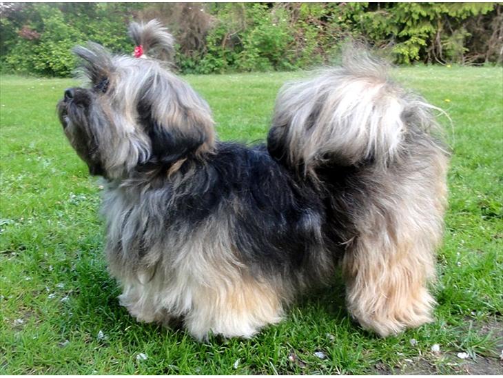 {{currentPhoto.altText}} billede {{currentPhoto.number}}