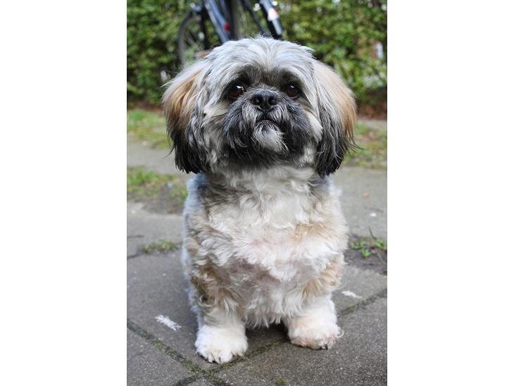 {{currentPhoto.altText}} billede {{currentPhoto.number}}