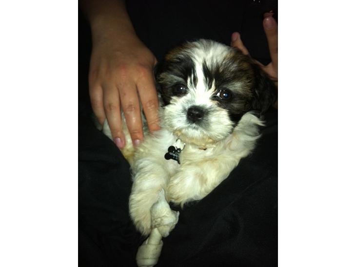 {{currentPhoto.altText}} billede {{currentPhoto.number}}