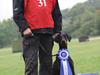 Dobermann Baskerne´s Ambre