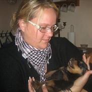 Rottweiler Dika Diabolos Frentzen