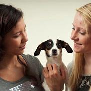 Blanding af racer Freja