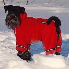Dvaergschnauzer Sváva's Elenna - Tazhia