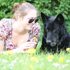 Schæferhund Alli <3