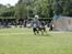 Weimaraner Hot Shoot´s Jeco - Hundeudstilling i Vissenbjerg. 3. Plads