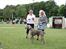 Weimaraner Hot Shoot´s Jeco - Hundeudstilling i Vissenbjerg. 3. Plads